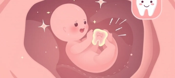 The Journey of a Smile: Understanding Tooth Development