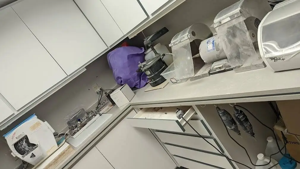 Sencak Orthodontics