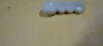 S. Singh DDS