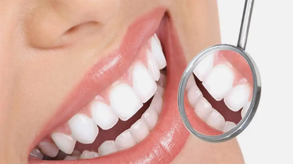 Dental Paradise - Professional dental clinic exterior with modern facilities