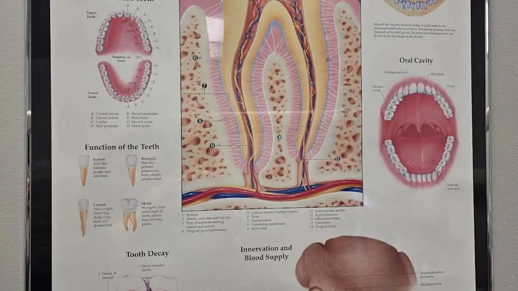 Jessy Koshy BDS DMD PC - Professional dental clinic exterior with modern facilities