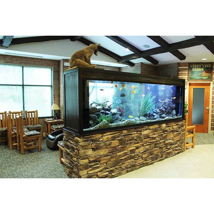 The Kids Tooth Doc - Professional dental clinic exterior with modern facilities