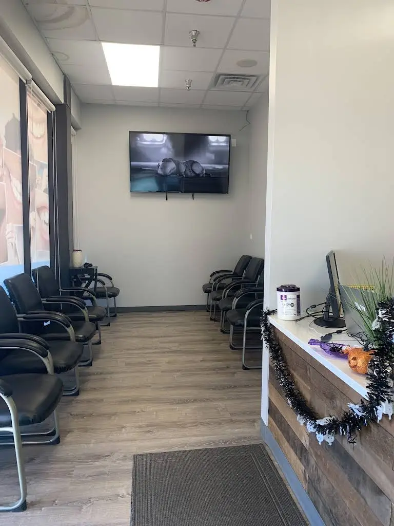 Bright Dental Palatine - Professional dental clinic exterior with modern facilities
