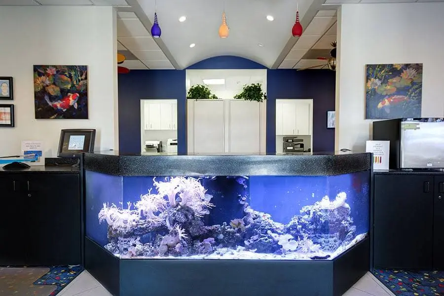 Schwartz Orthodontics