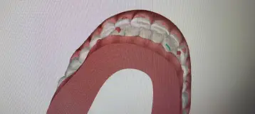 Flower Hill Dental
