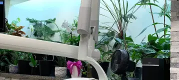 Lee Hyun S DDS