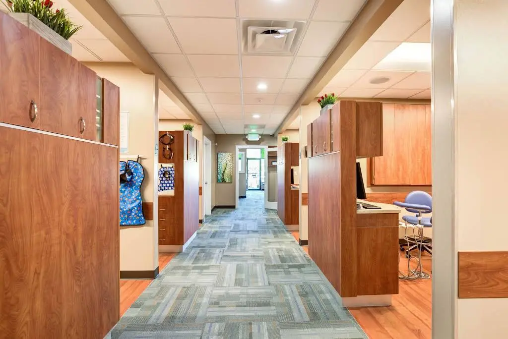 Healthy Dental - Professional dental clinic exterior with modern facilities