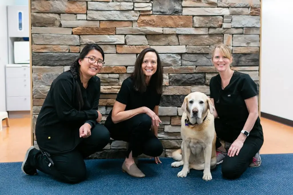 Stafford Smile Design - Professional dental clinic exterior with modern facilities