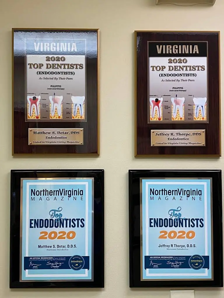 Manassas Endodontics