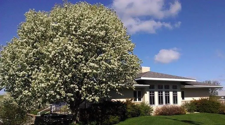 Prescott Family Dental - Professional dental clinic exterior with modern facilities