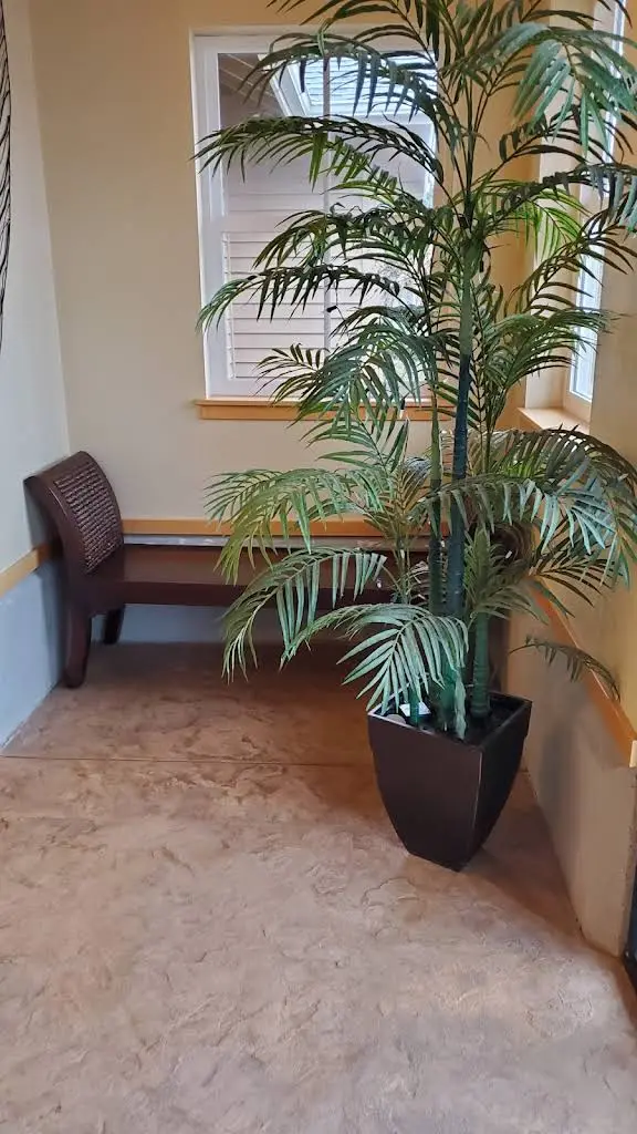 Illahee Dental