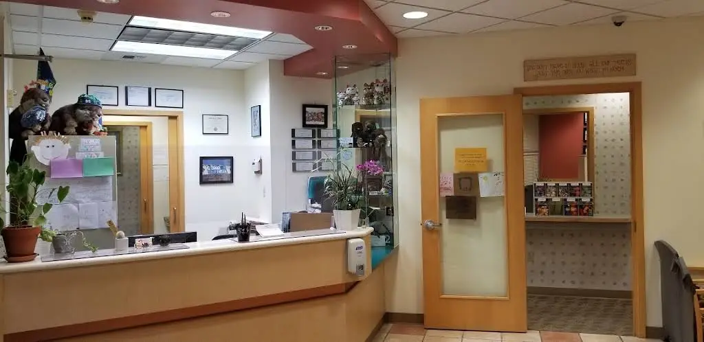Plateau Dentistry for Children