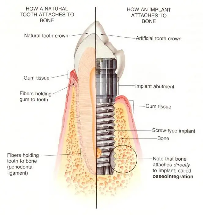 Northpointe Family Dentistry