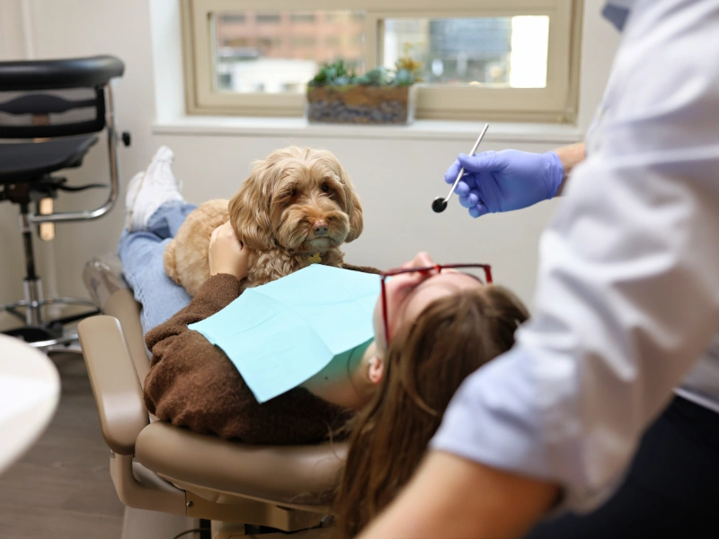 Seattle Dental Associates - Professional dental clinic exterior with modern facilities