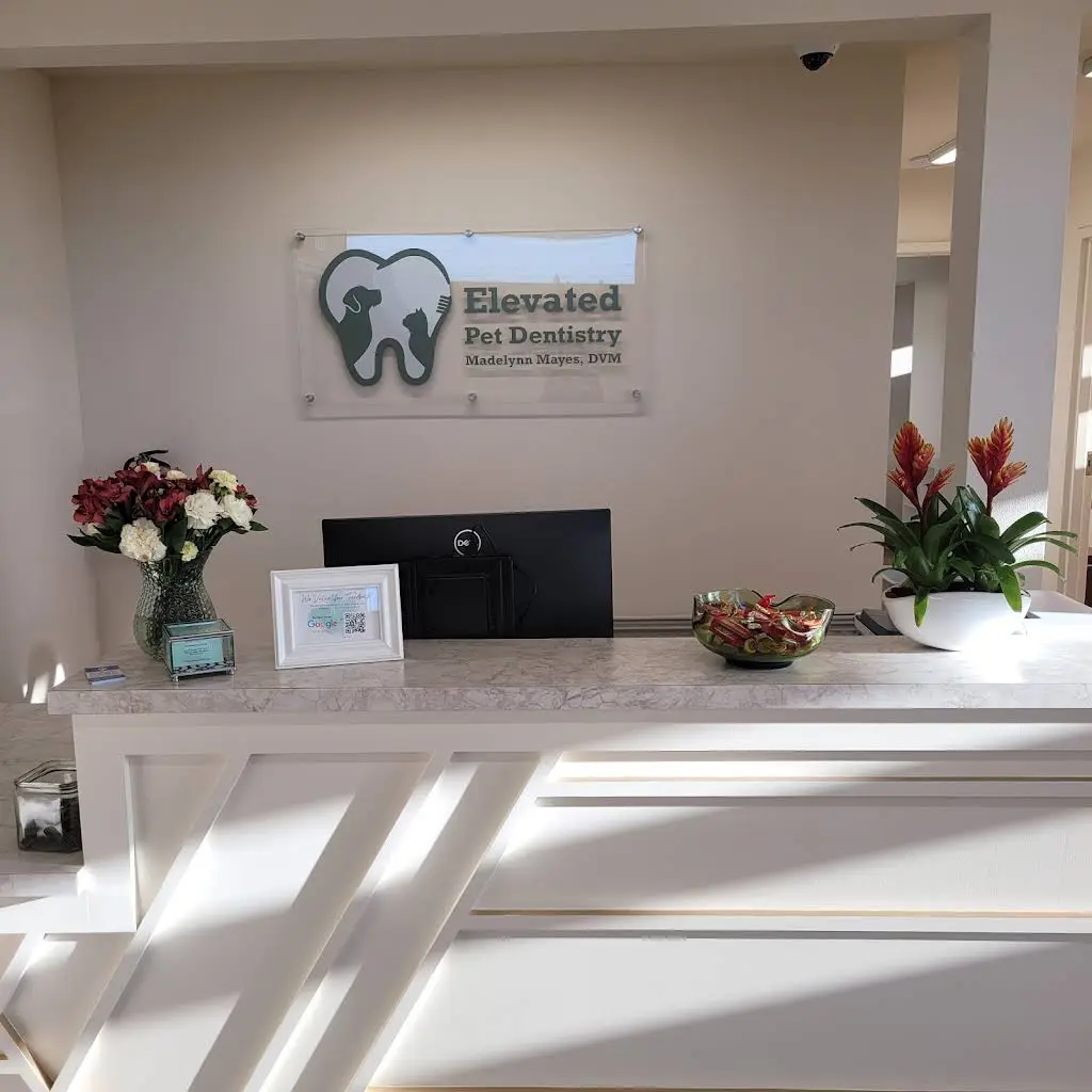 Elevated Pet Dentistry - Professional dental clinic exterior with modern facilities