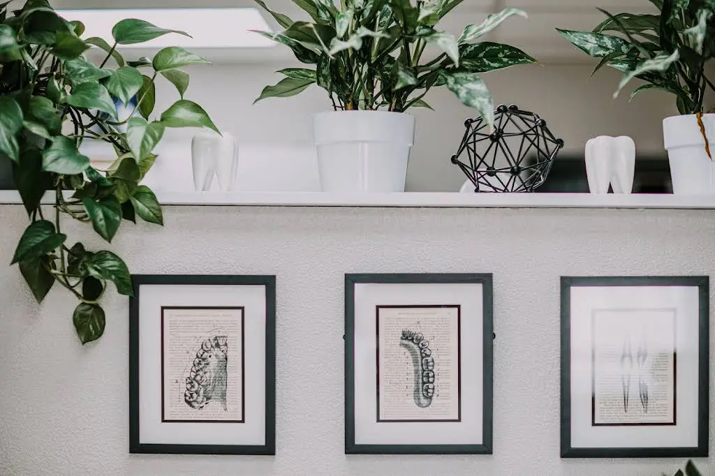 Edmonds Elevated Dental
