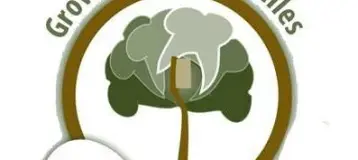 Oak Tree Dental Care: Amin Taba, DDS