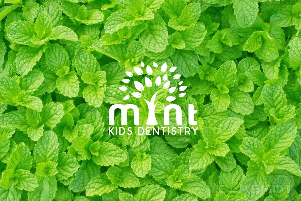 Mint Kids Dentistry - Professional dental clinic exterior with modern facilities