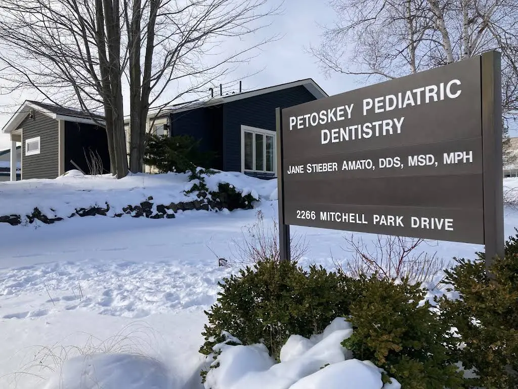 Petoskey Pediatric Dentistry - Dr. Jane Stieber Amato - Professional dental clinic exterior with modern facilities