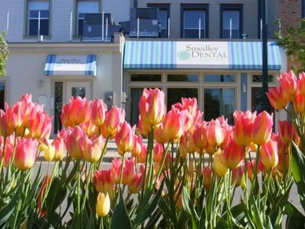Moxy Dental & Airway - Professional dental clinic exterior with modern facilities