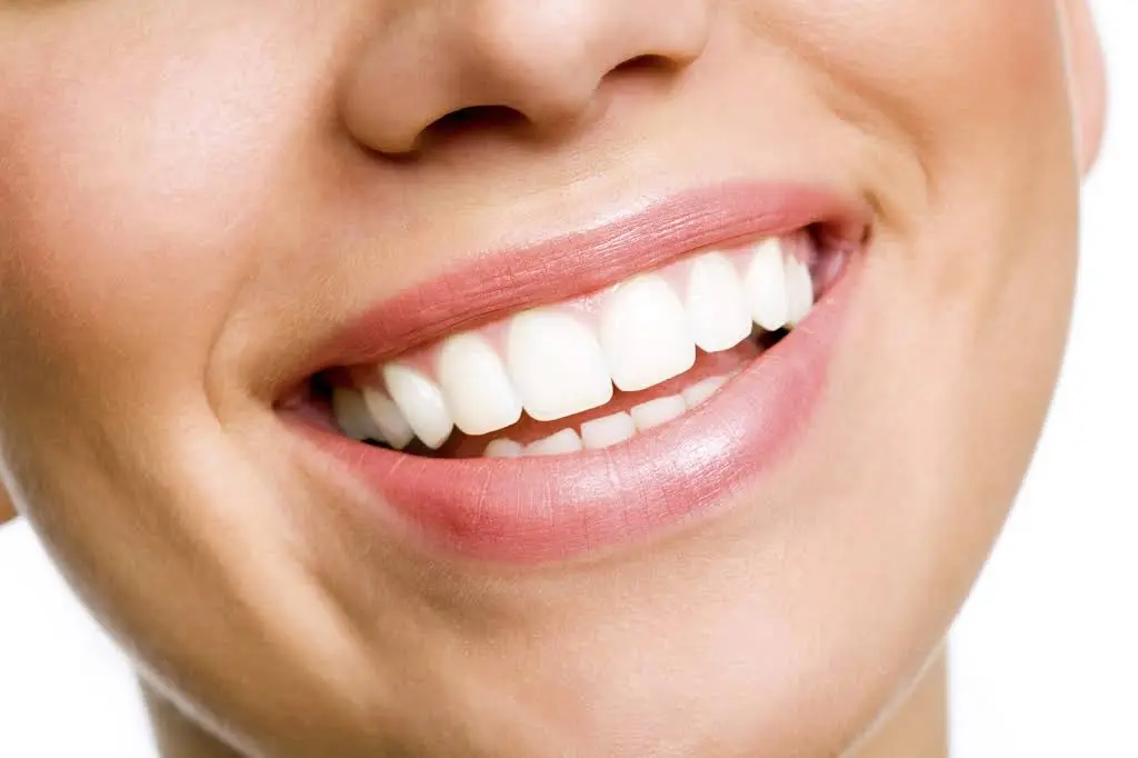 Michigan Geriatric Dental Care - Professional dental clinic exterior with modern facilities