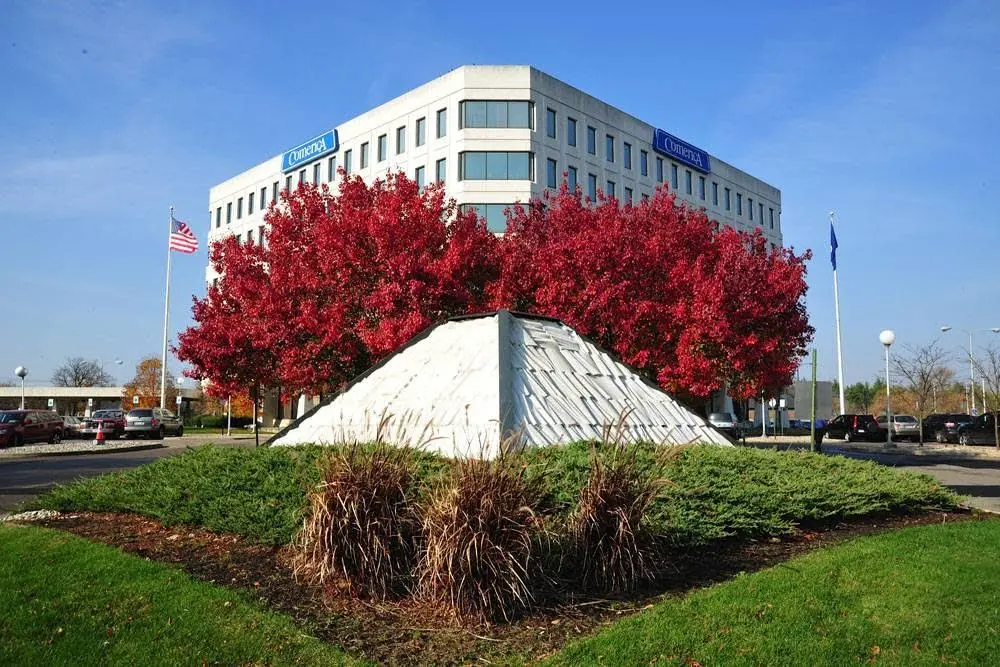 Professional Endodontics - Professional dental clinic exterior with modern facilities
