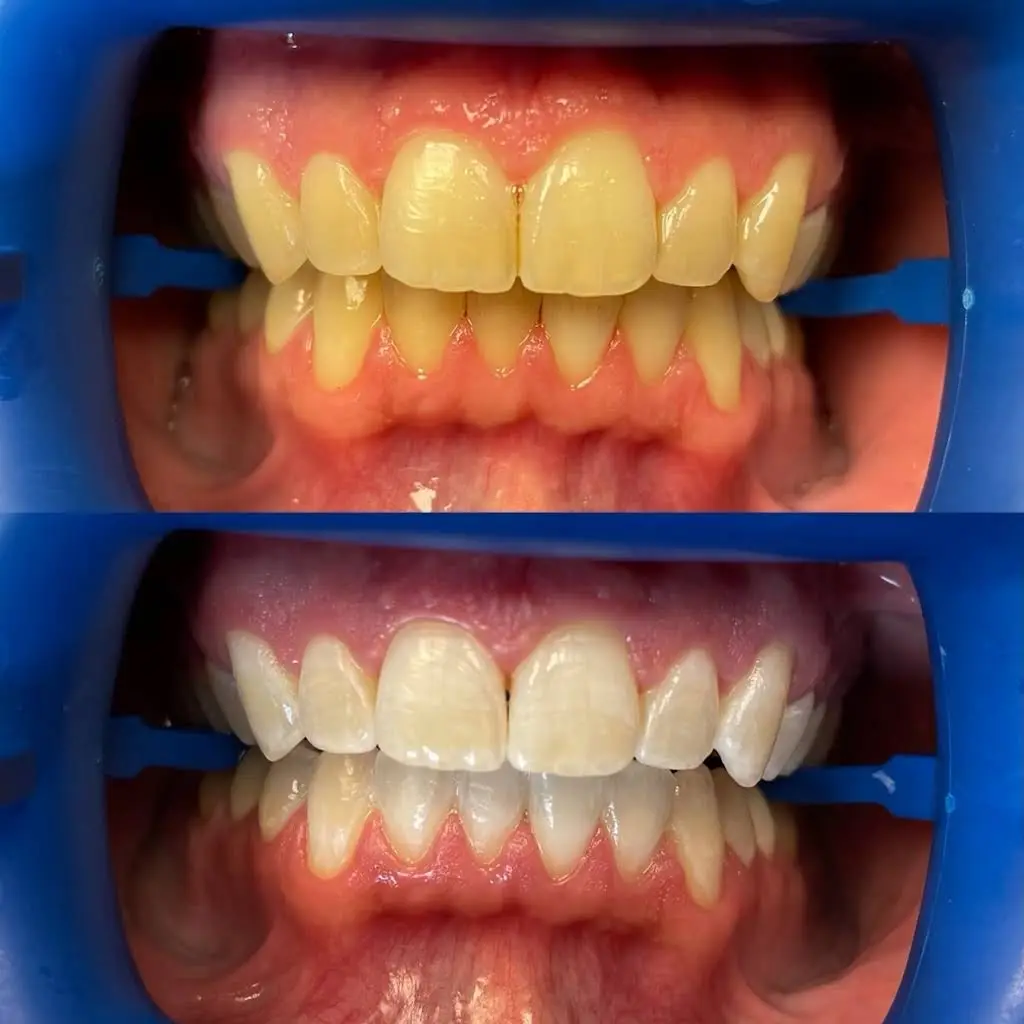 Florkowski Family Dentistry - Garden City