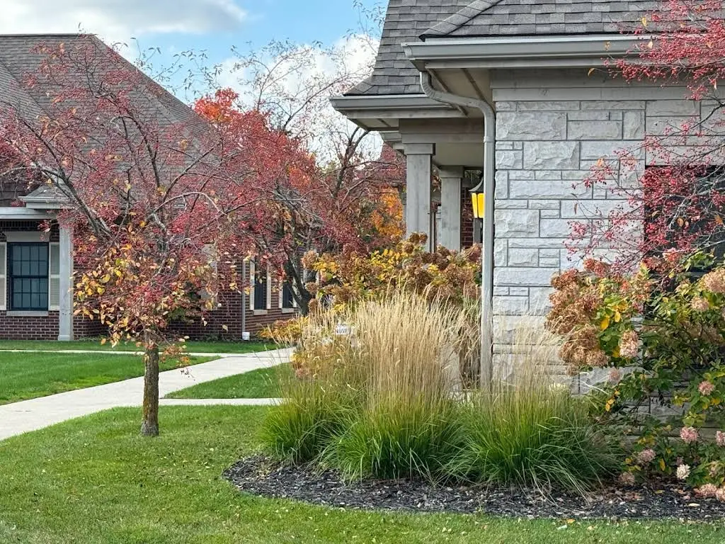 Canton Dentists Lilley Suite