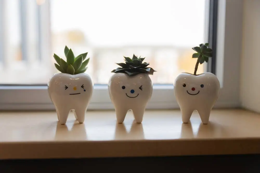 Pure Zen Dentistry
