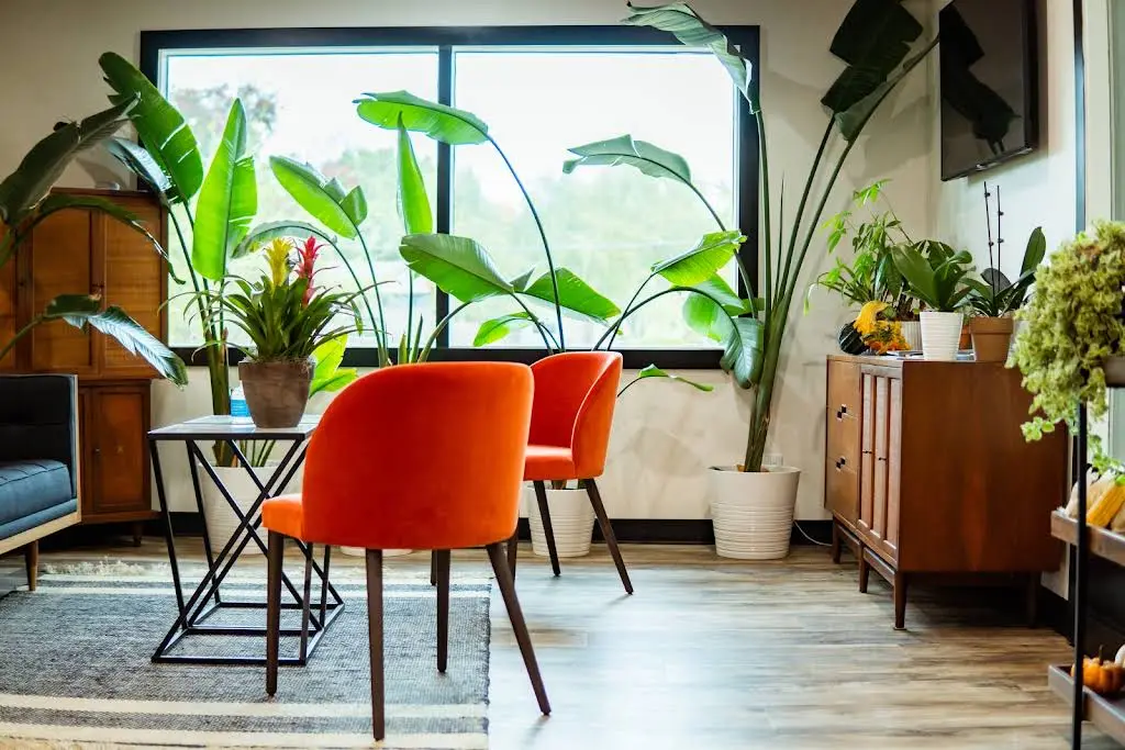 Paradise Dental - Huong Vu, D.D.S.