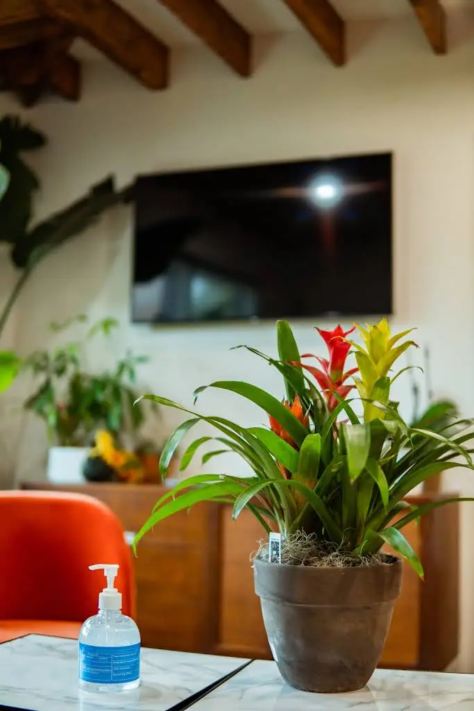 Paradise Dental - Huong Vu, D.D.S.