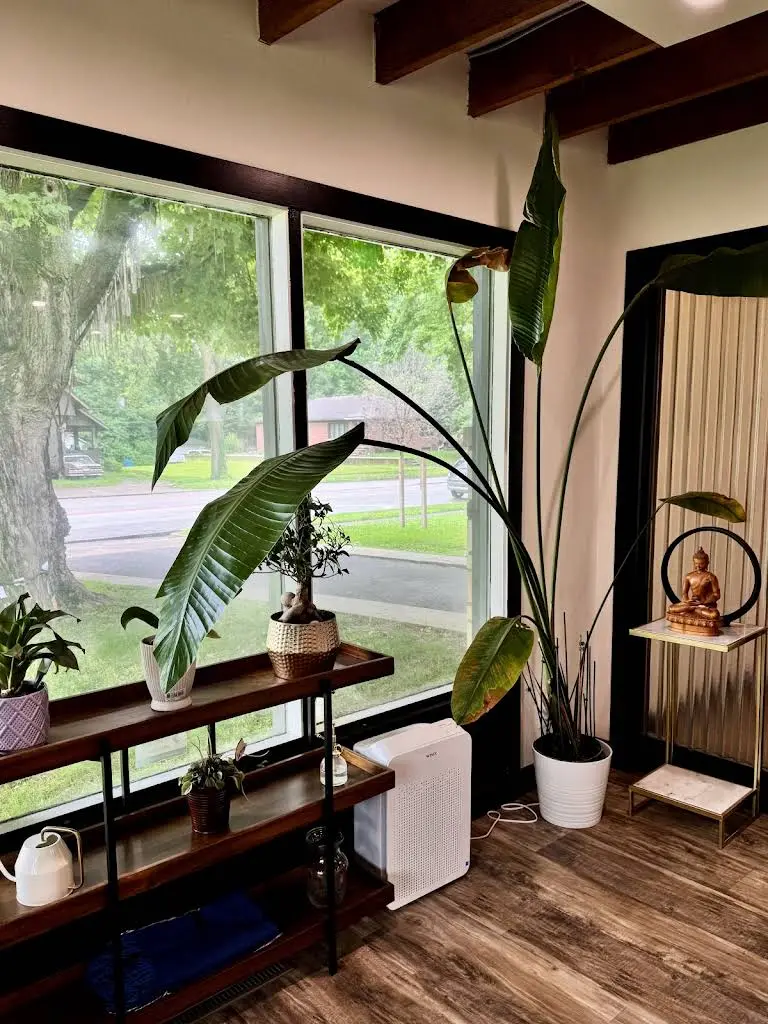 Paradise Dental - Huong Vu, D.D.S.