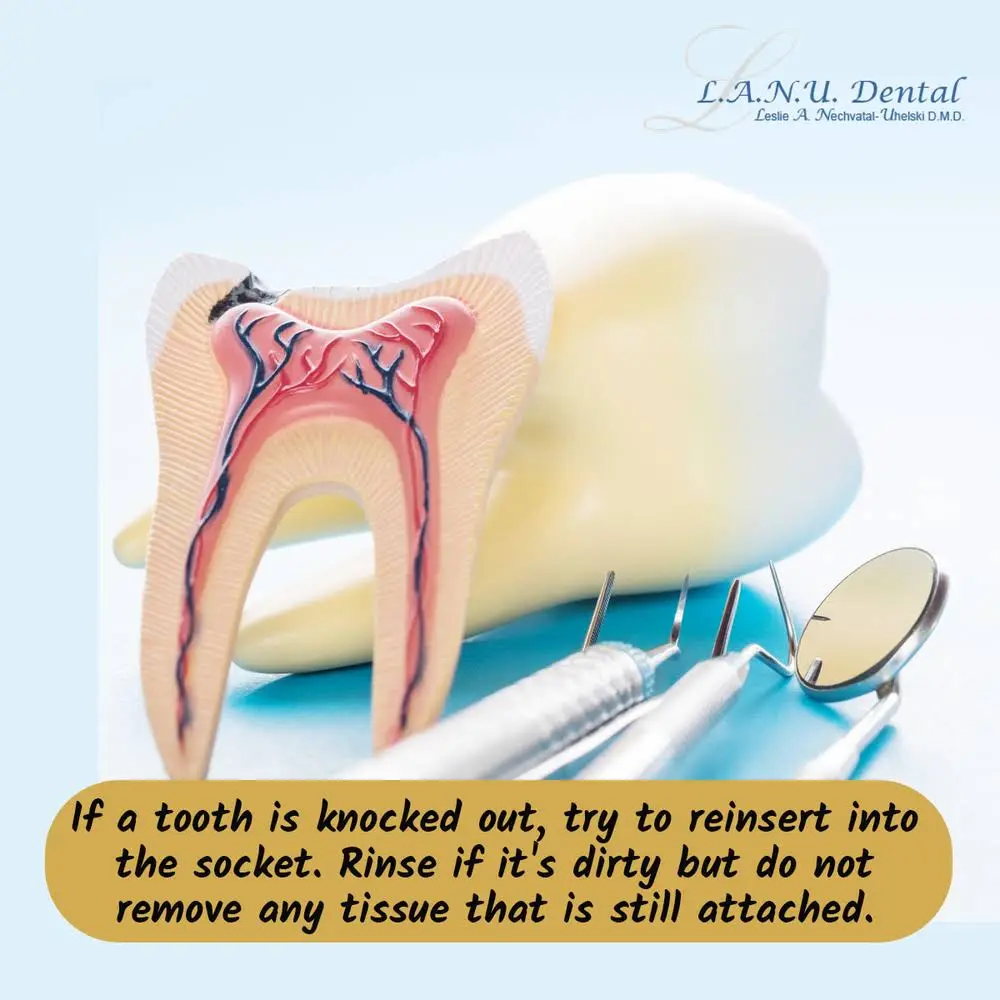 L.A.N.U. Dental