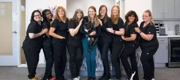 Queen City Orthodontics