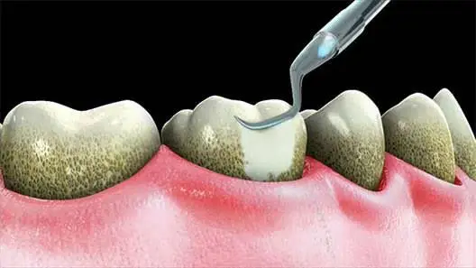 K. Luke Eades, D.D.S. - Professional dental clinic exterior with modern facilities