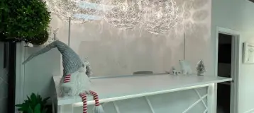 Molarbear Inc.