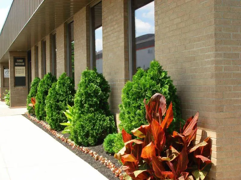 Nunnally Dentistry & Associates - Professional dental clinic exterior with modern facilities