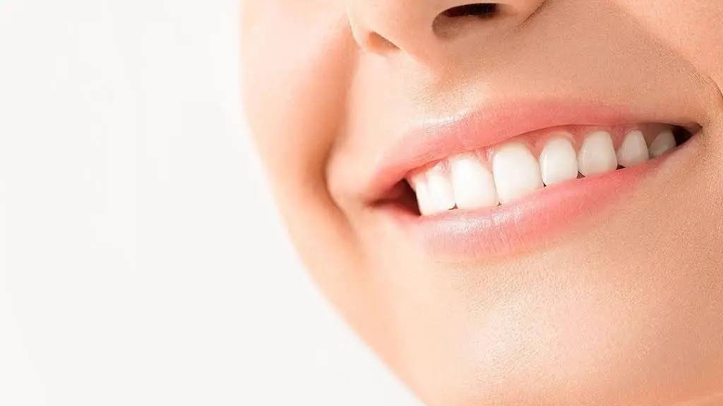 Premier Dental Associates - Professional dental clinic exterior with modern facilities