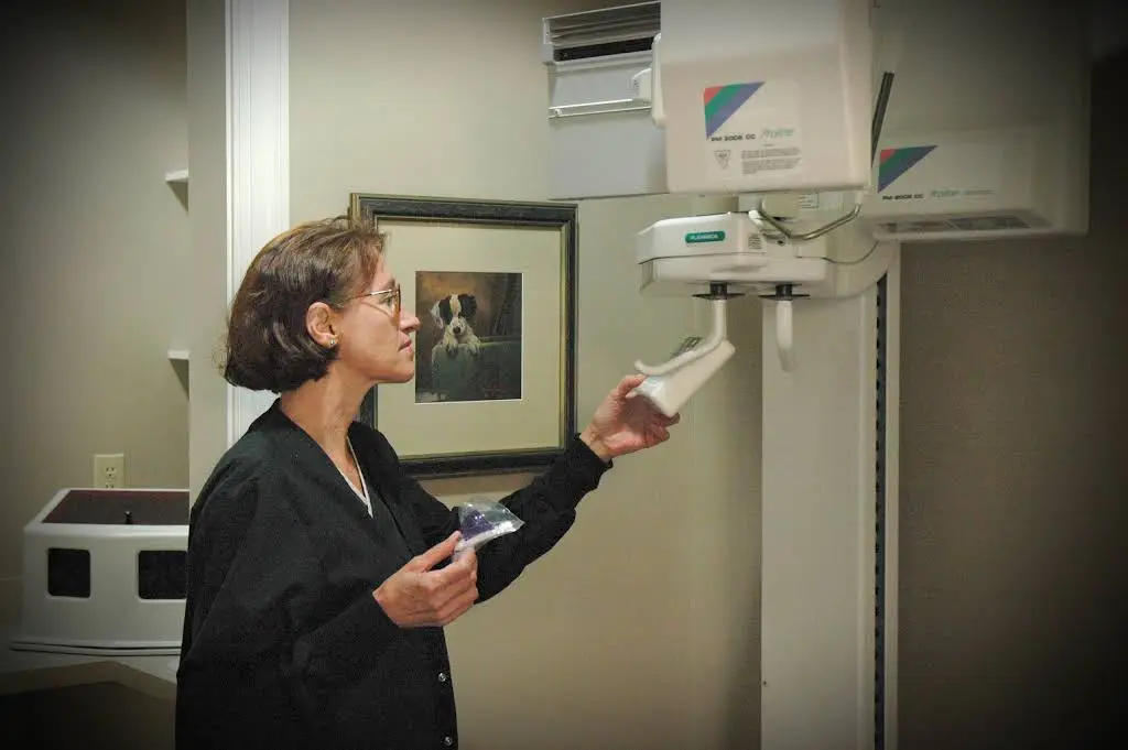 Mill Mountain Dentistry