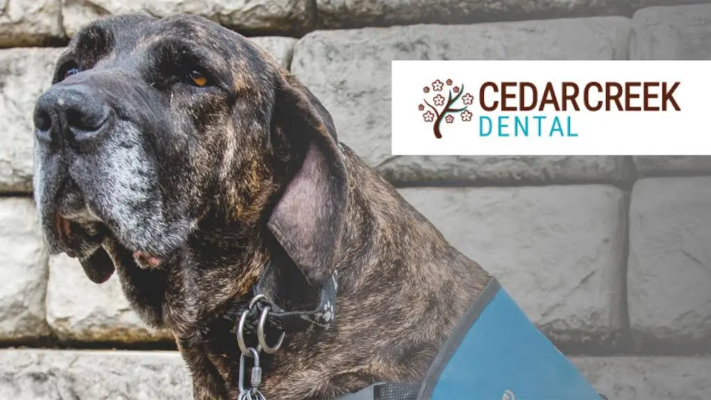 Cedar Creek Dental - Professional dental clinic exterior with modern facilities