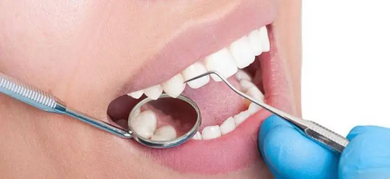 Patrick M Michel DMD PA / Michel Smiles - Professional dental clinic exterior with modern facilities