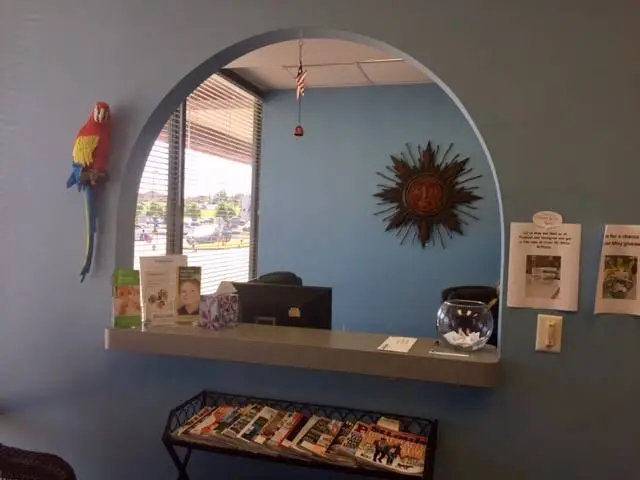 My Child's Dentist