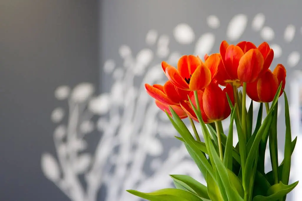 Dardenne Dental Arts