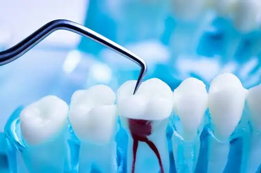 Parkway Dentistry at Langtree - Professional dental clinic exterior with modern facilities