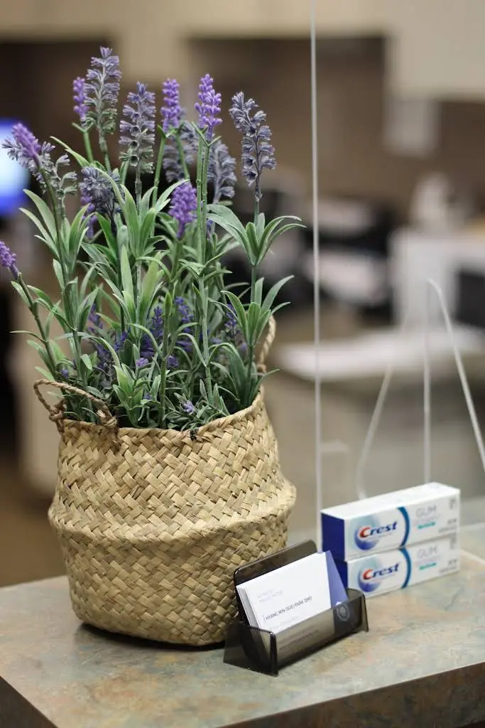 Park Dentistry - Professional dental clinic exterior with modern facilities