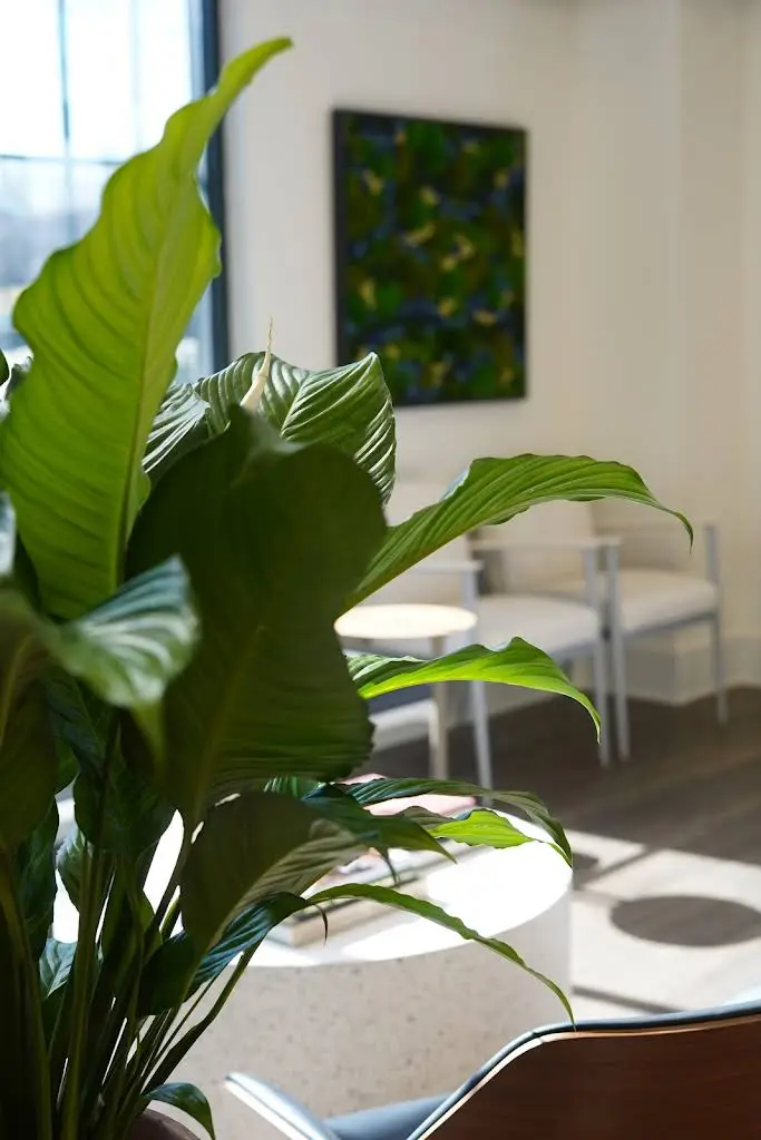 Koerich Orthodontics