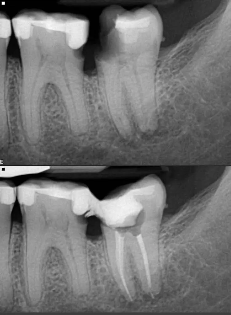 State Endodontics - Professional dental clinic exterior with modern facilities