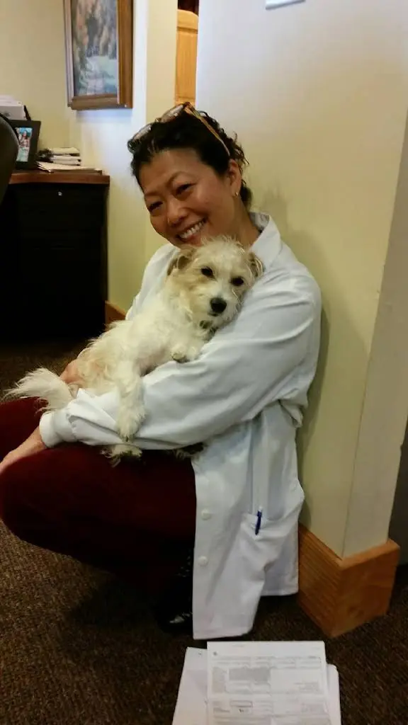 O'Neill-Pedersen Orthodontics
