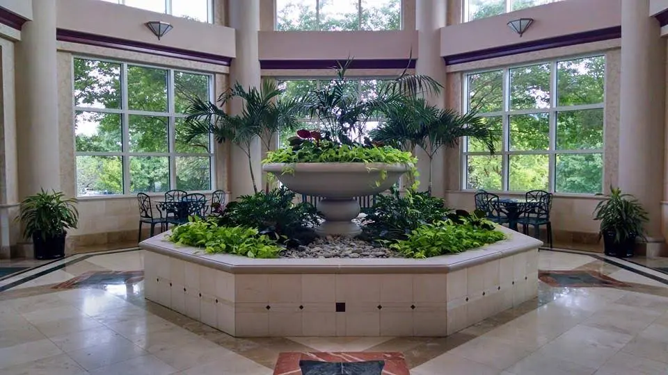 Cary Dental Center - Professional dental clinic exterior with modern facilities