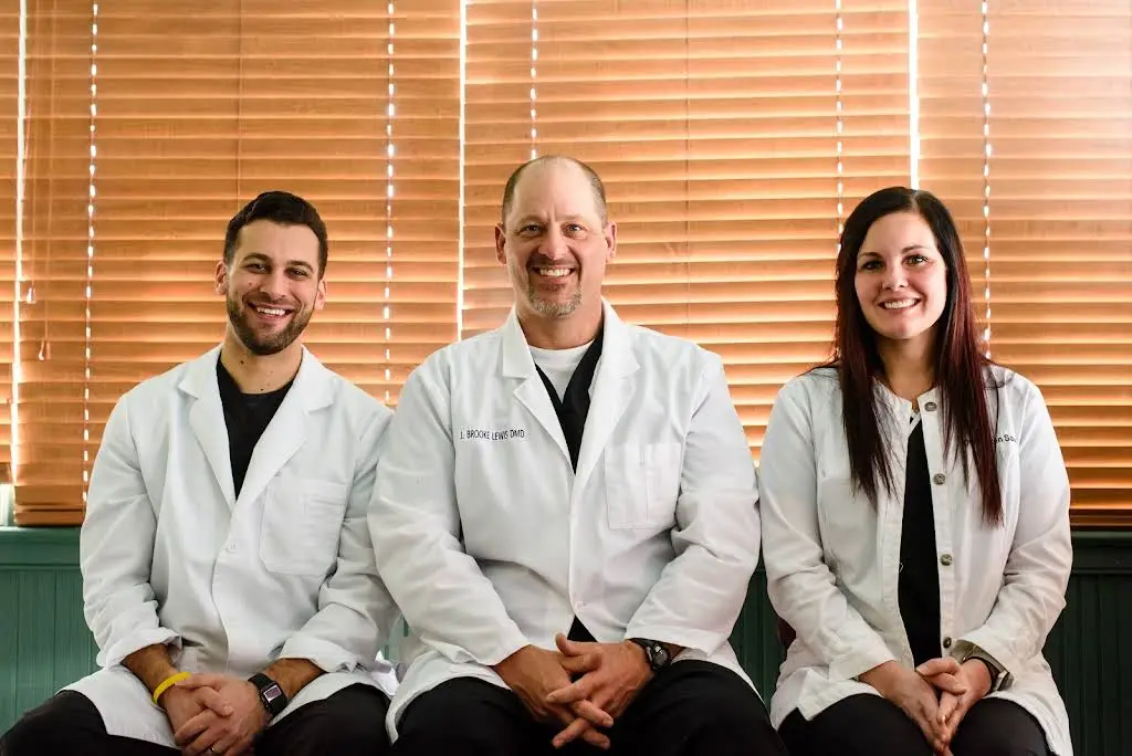 Lewis Dental Group